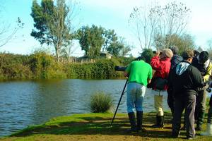 منطقه حفاظت شده